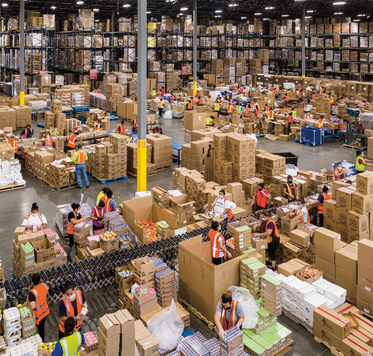 Logistics Professional